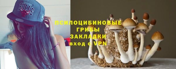 твердый Бронницы