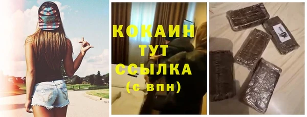 твердый Бронницы