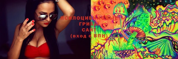 твердый Бронницы