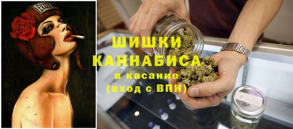 твердый Бронницы