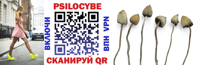закладки  Называевск  Галлюциногенные грибы Cubensis 